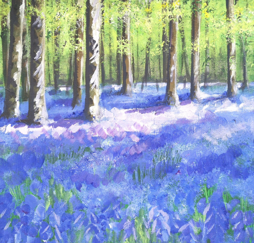 Bluebell extravaganza!